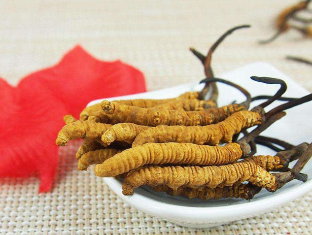 常州回收冬虫夏草